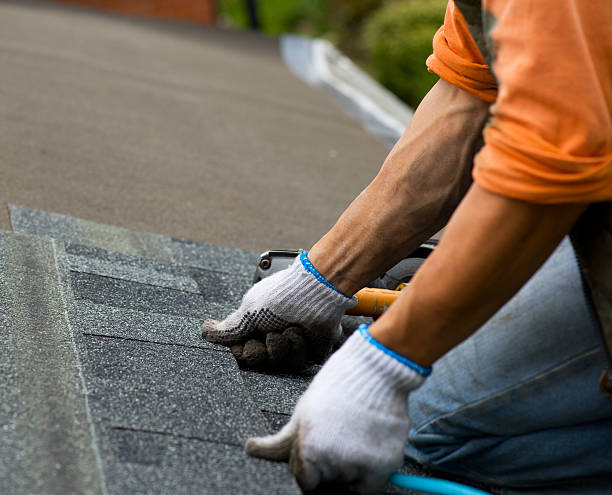 Best Roof Gutter Cleaning  in El Macero, CA